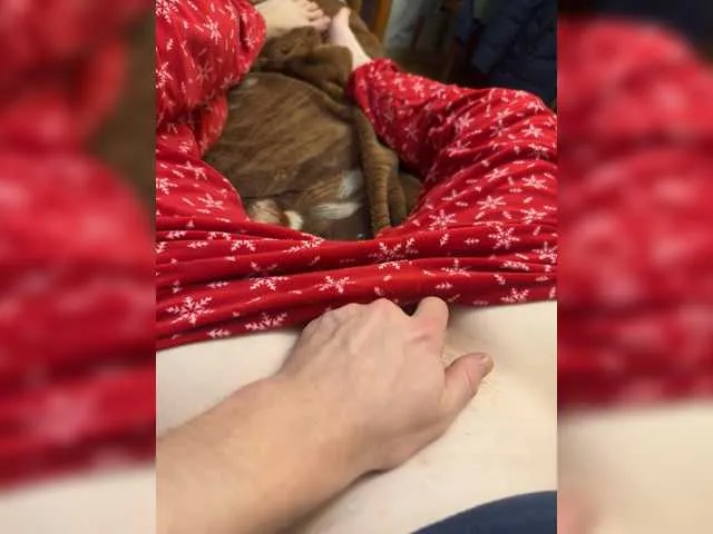 Offline ALEX-KIS777 on BongaCams