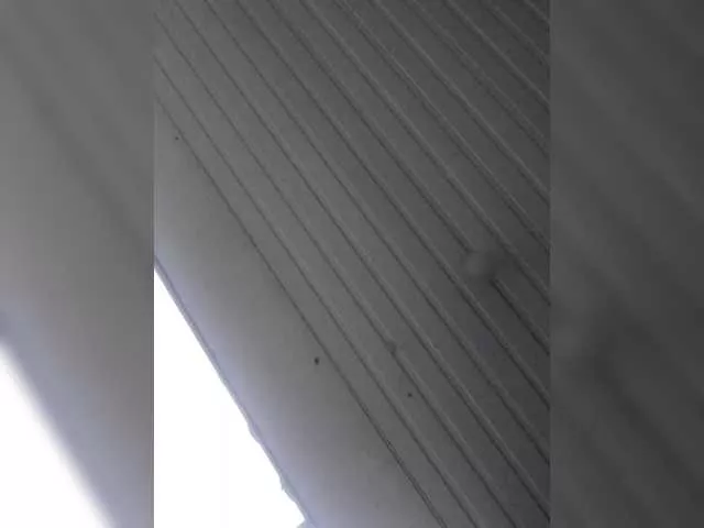 Offline AliceLaKatana on BongaCams