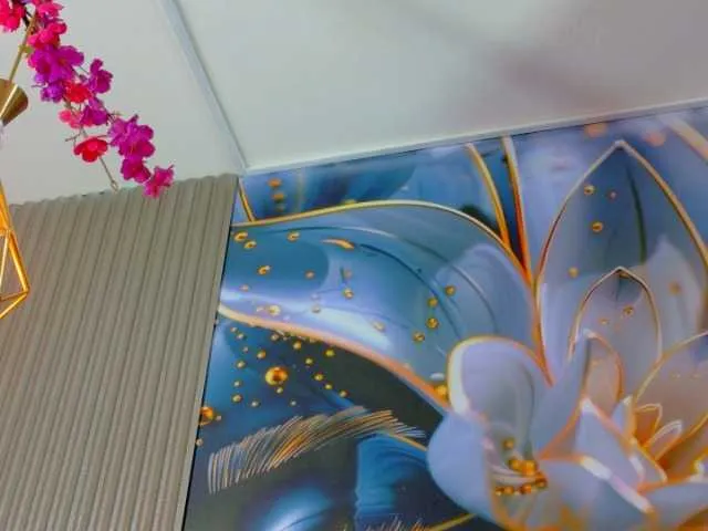 Offline almendraevans on BongaCams