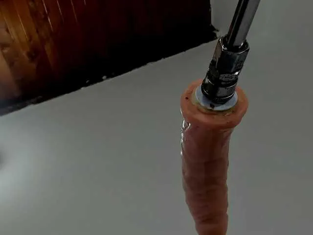 Antonellasmith0's avatar