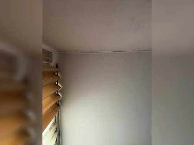 Offline BettyBoom13 on BongaCams