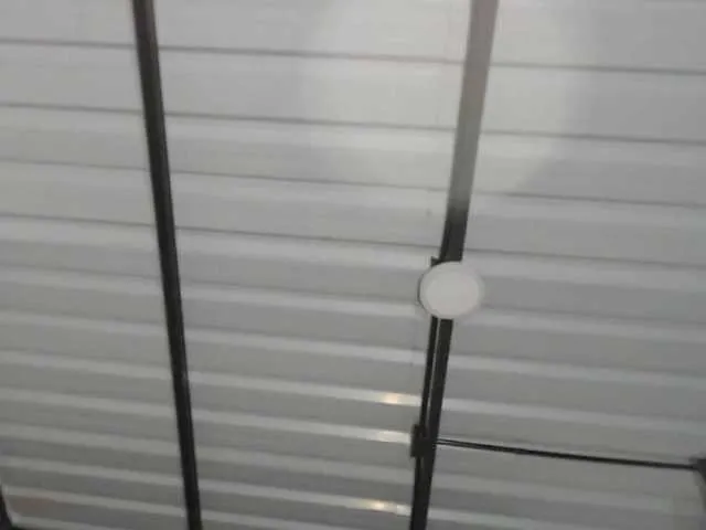 Freechat candylovet on BongaCams