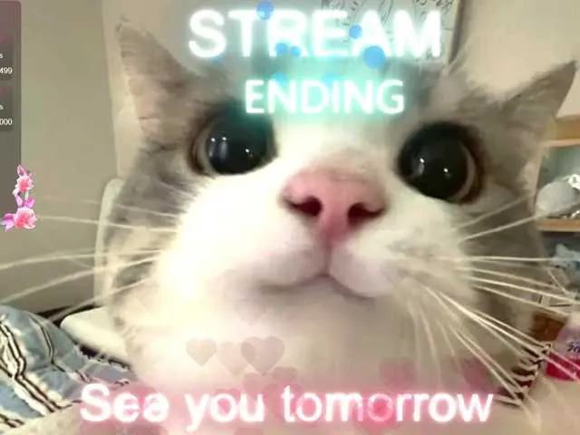 Freechat CrazyWine on BongaCams