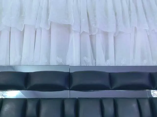 Offline DahianaMoss on BongaCams