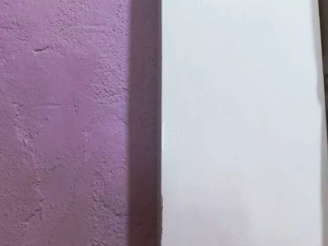 Offline dannyalvarex on BongaCams