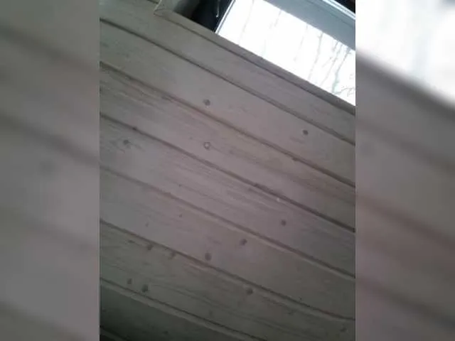 Offline DenXXXTan on BongaCams