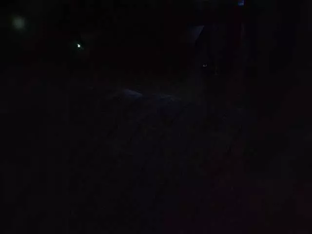 Offline Dimon777777777-2 on BongaCams