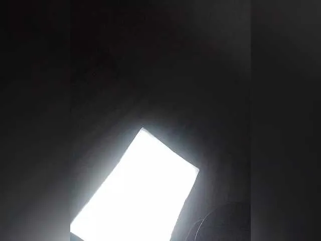 Offline Dimon777777777-2 on BongaCams