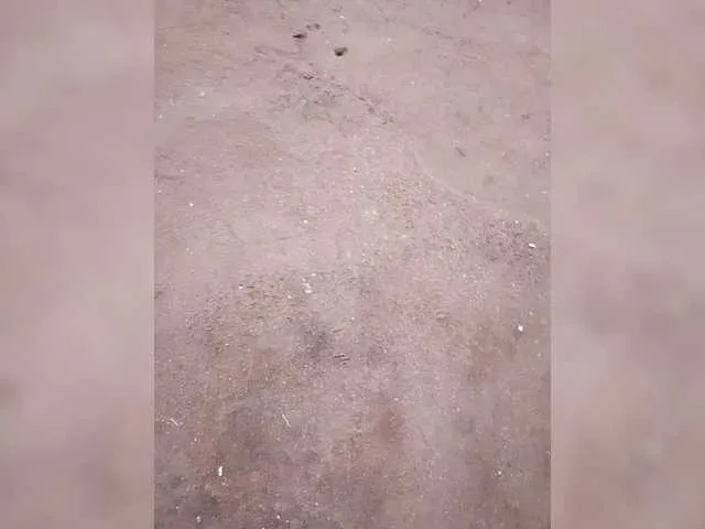 Faithfulfaith4447 on BongaCams