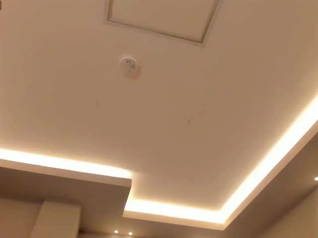 Offline FernandaX1 on BongaCams