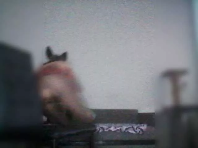 Offline Juldana on BongaCams