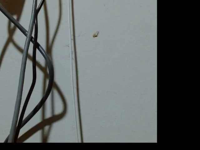 Offline ladydeathz0 on BongaCams