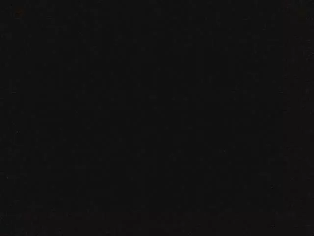 Offline Laurien on BongaCams