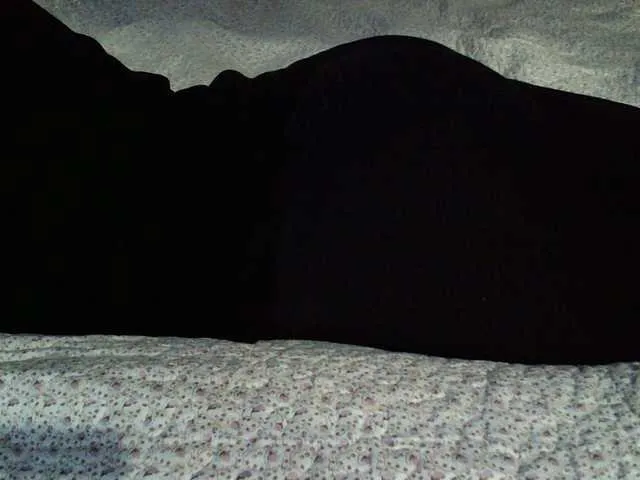 Offline liZAAAZ on BongaCams