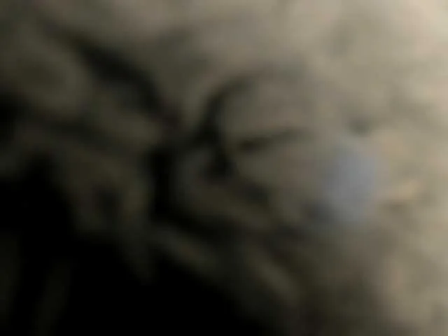 Offline MaddieParker on BongaCams