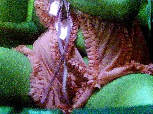 Offline Minousexy on BongaCams