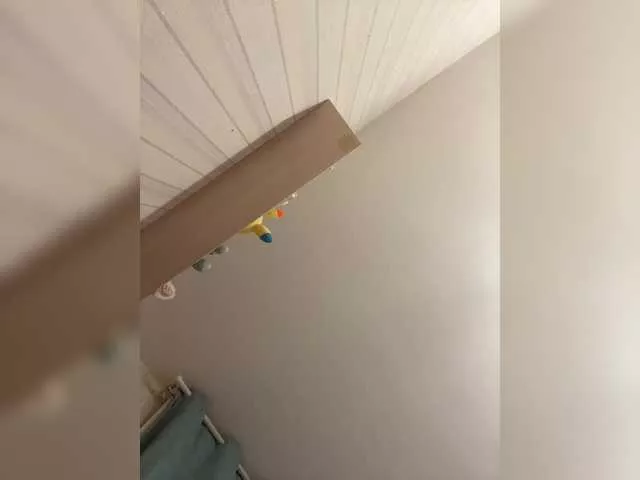 Offline MishaLips on BongaCams