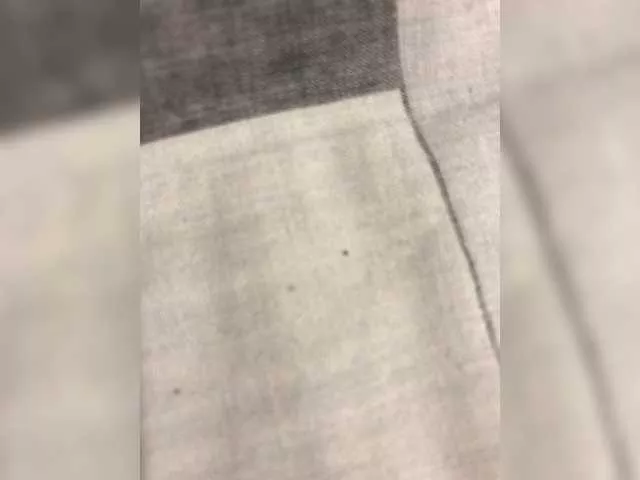 Offline Nadin-03 on BongaCams