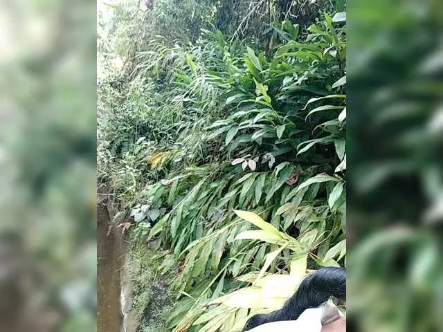 Ninfa-88 on BongaCams