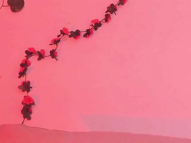 Offline Pamela-Velvet on BongaCams