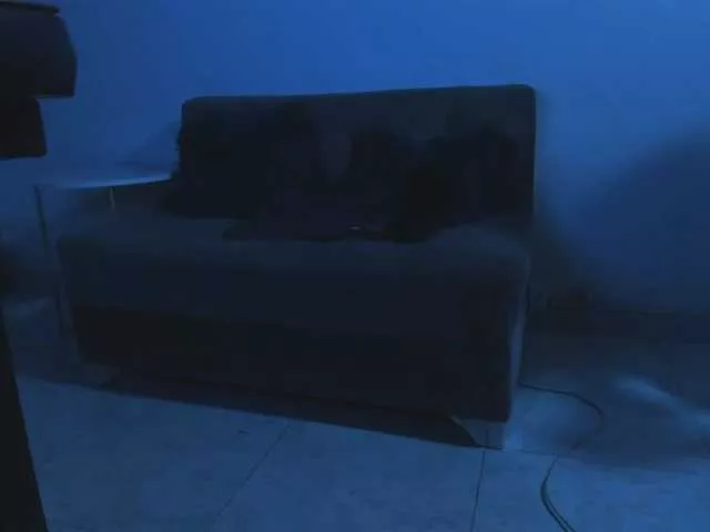 Offline Paola233 on BongaCams