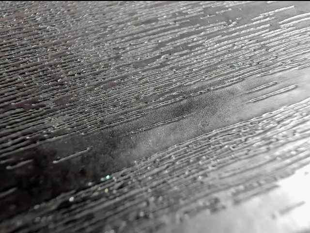 Offline sashsapety on BongaCams