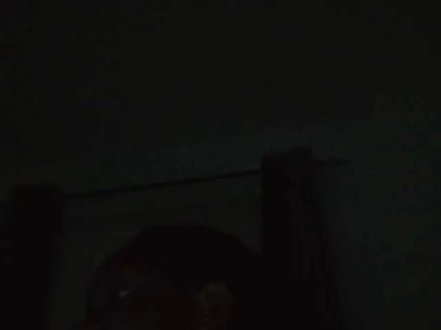 Freechat sexxybunny on BongaCams