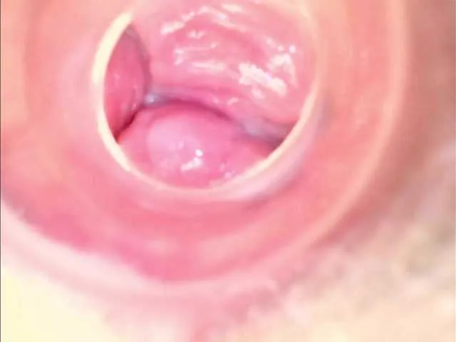 Shannon-kane's avatar