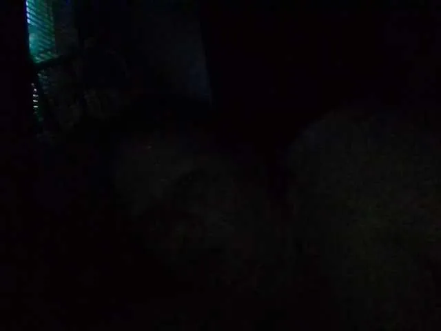 Offline starlight1983 on BongaCams