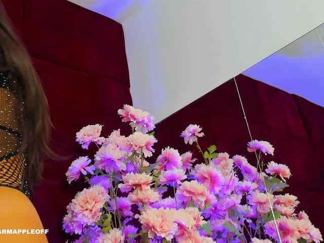 Freechat SugarMaple on BongaCams