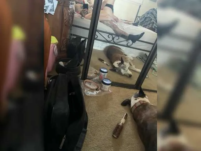 Offline TattedNConvicted1 on BongaCams