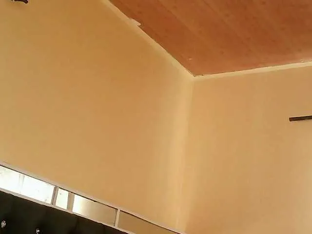 Offline trina94 on BongaCams