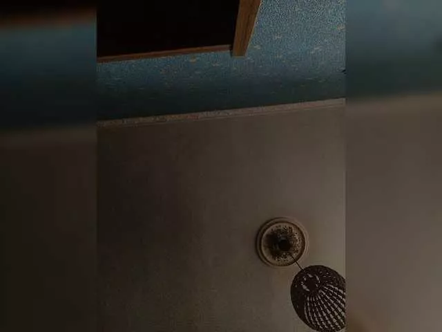 Offline VikiBlanes on BongaCams