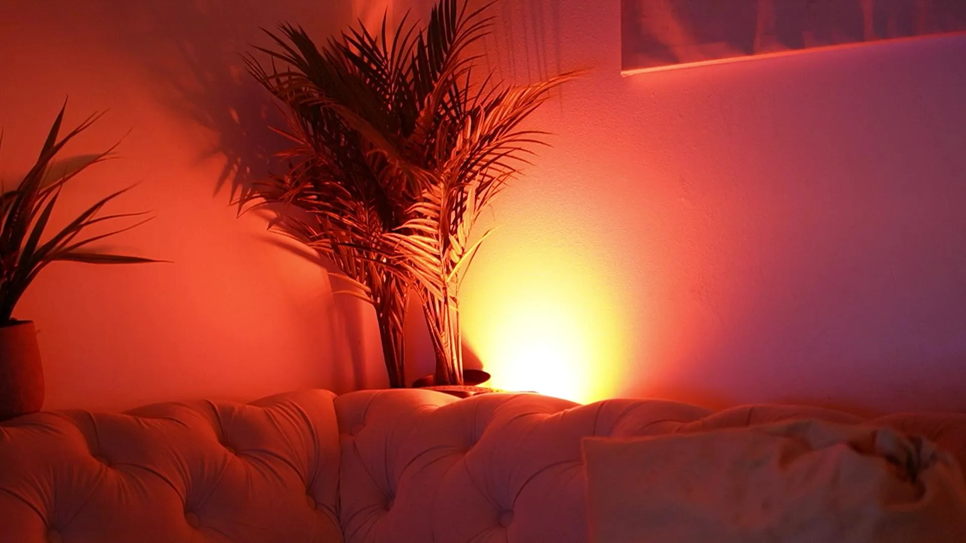 Offline AileenKiss on Cam4