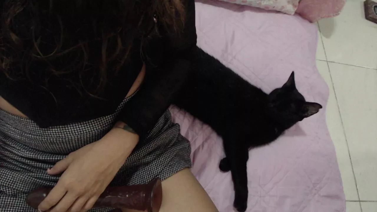 Offline alinawoolf on Cam4