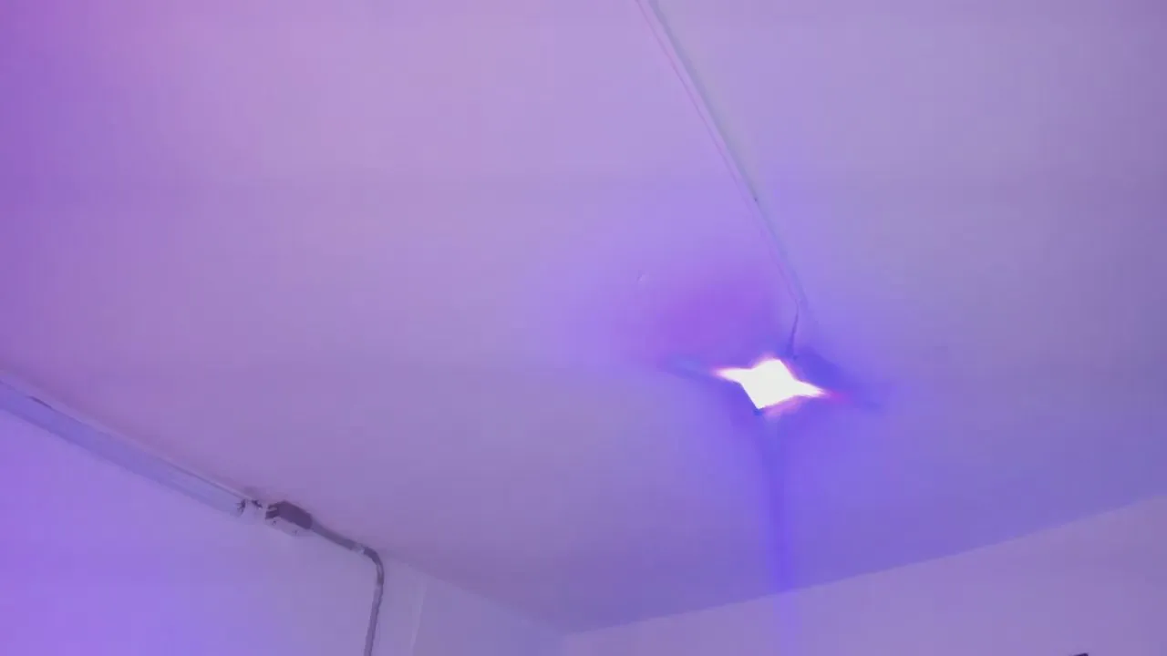 Freechat Amy_Kiitty on Cam4