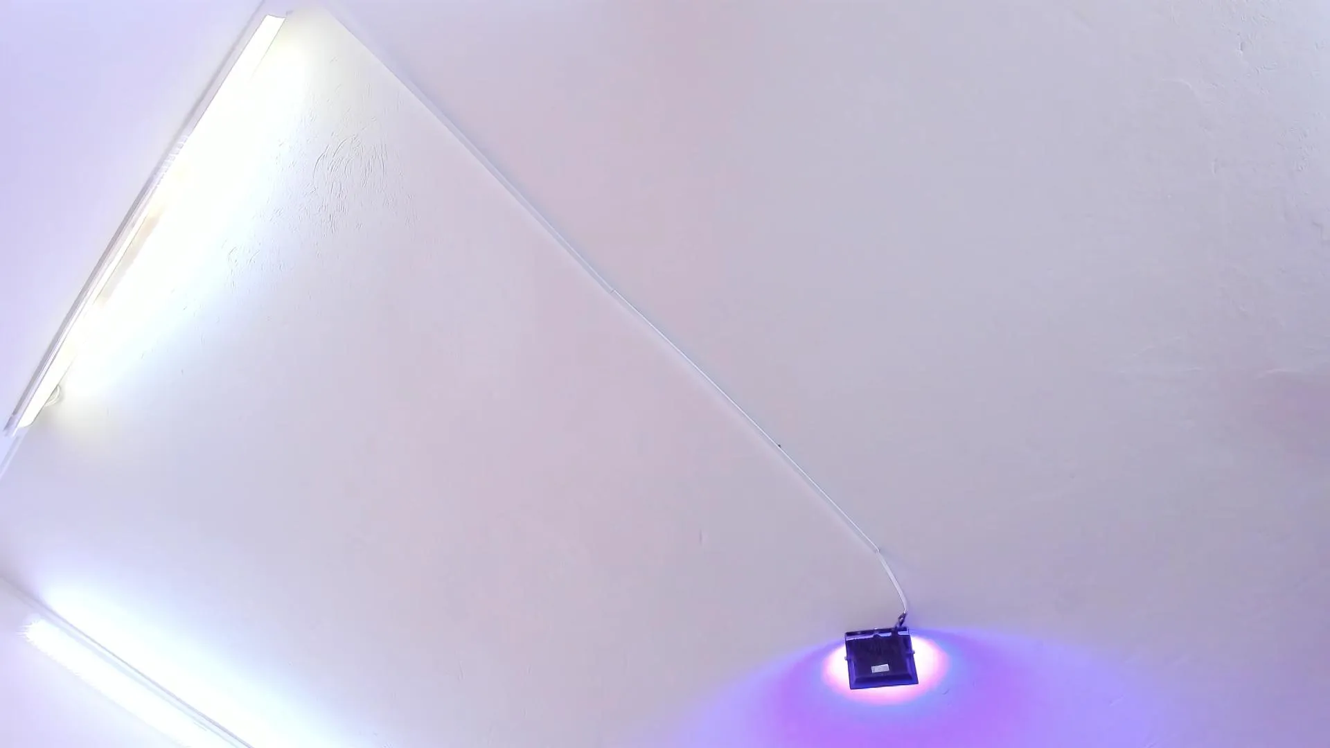 Freechat Amy_Kiitty on Cam4