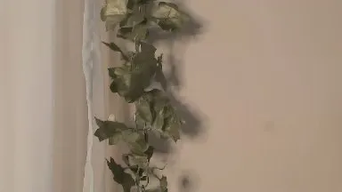 Offline angelainparis on Cam4