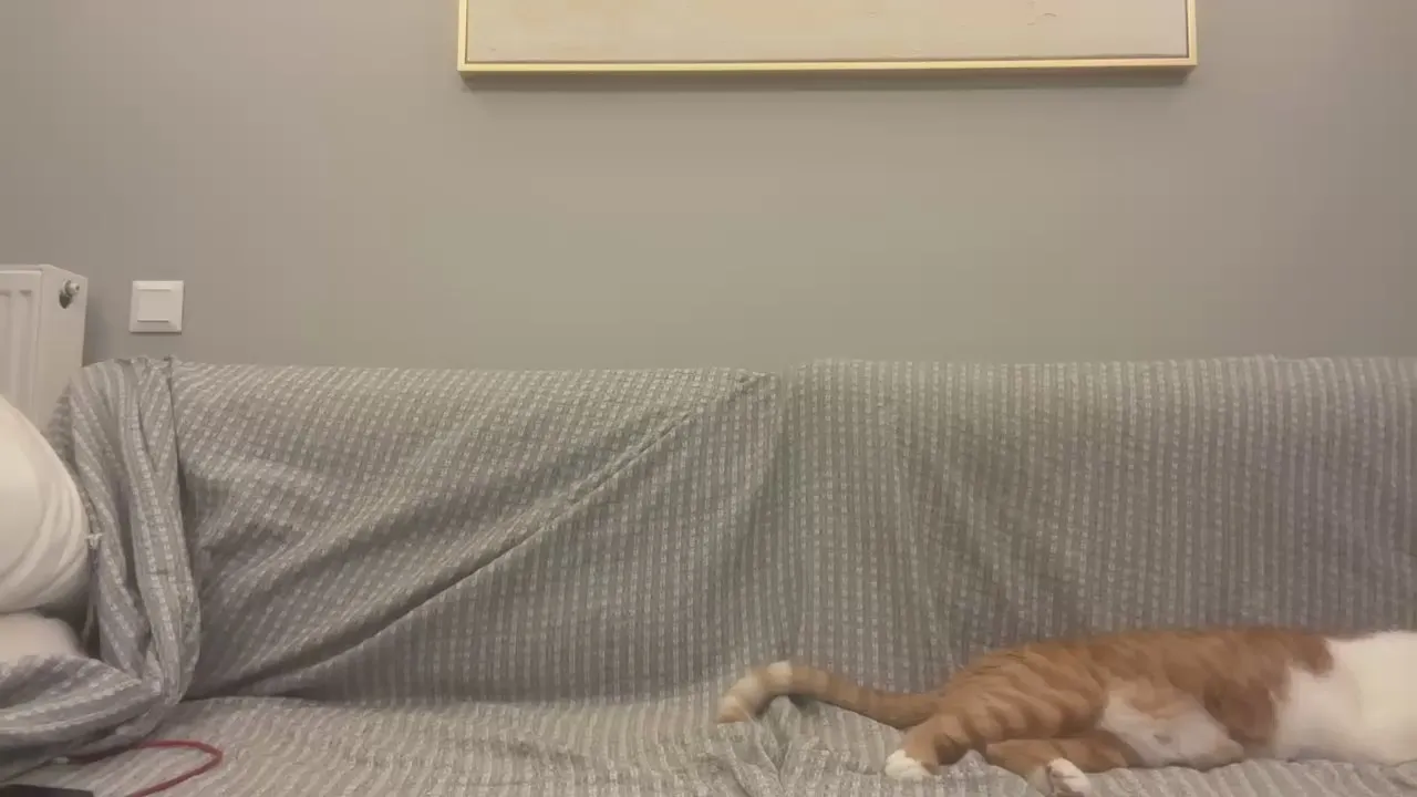 Offline Angelosmosis on Cam4