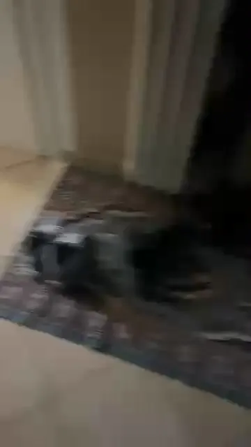 Offline Angygirls on Cam4