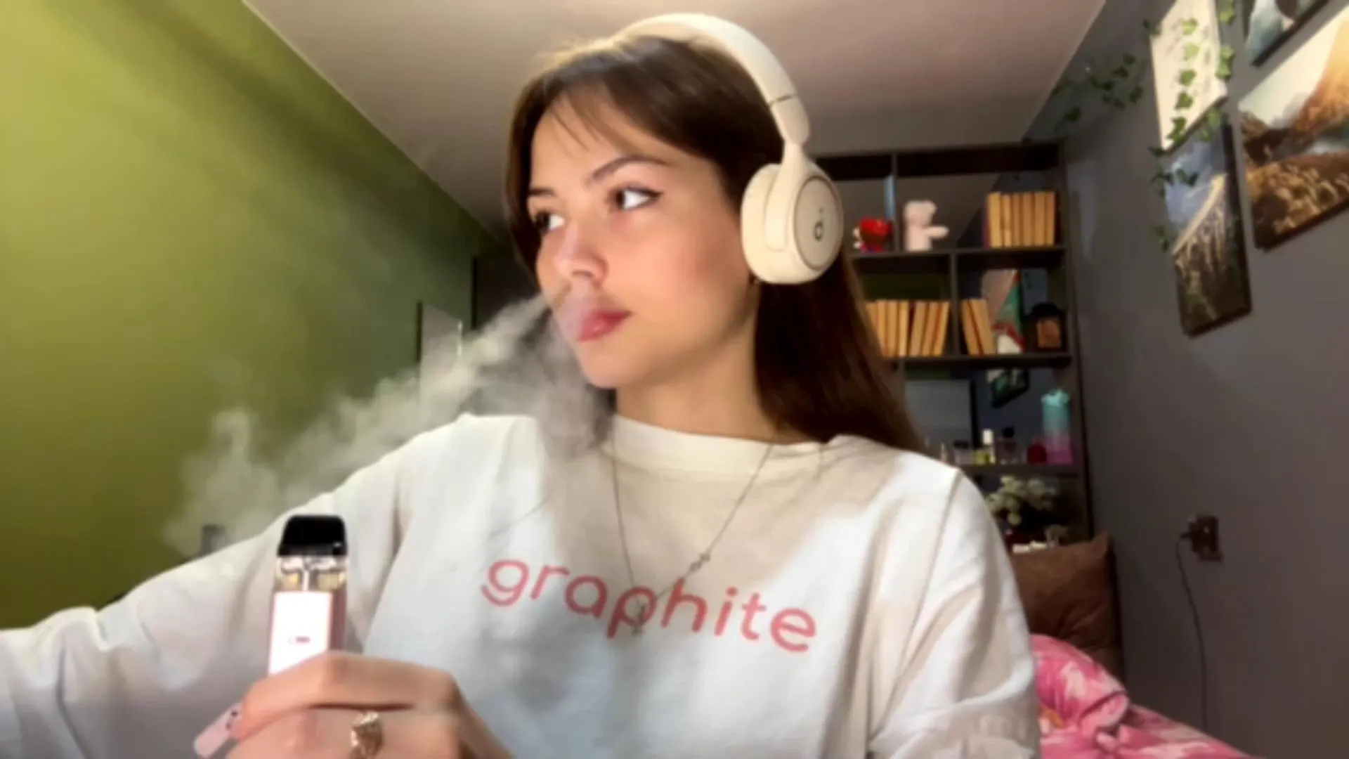 Offline AraVanderwal on Cam4