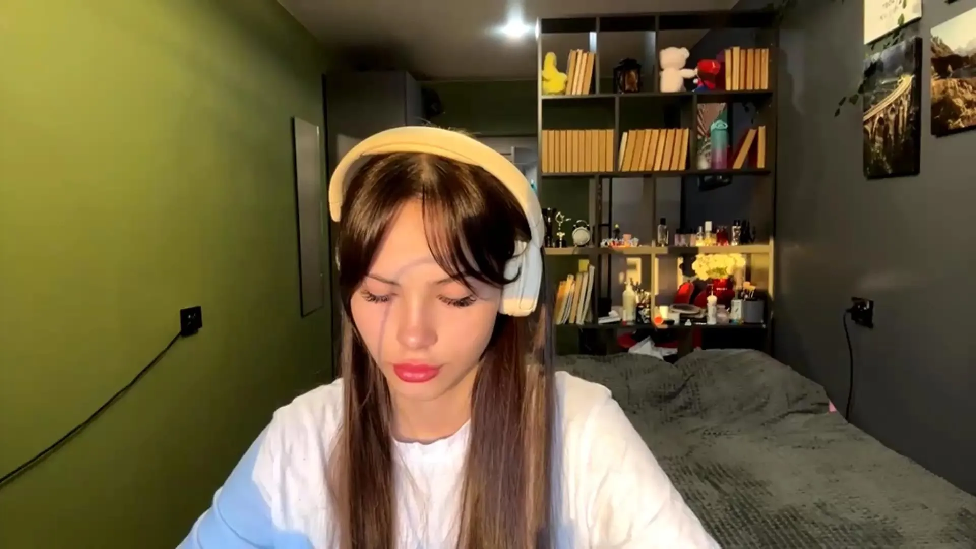 Offline AraVanderwal on Cam4