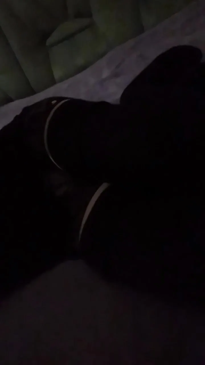 Offline BarbierQueen on Cam4