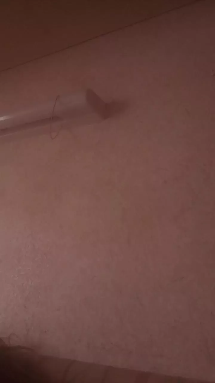 Offline BibiVero on Cam4