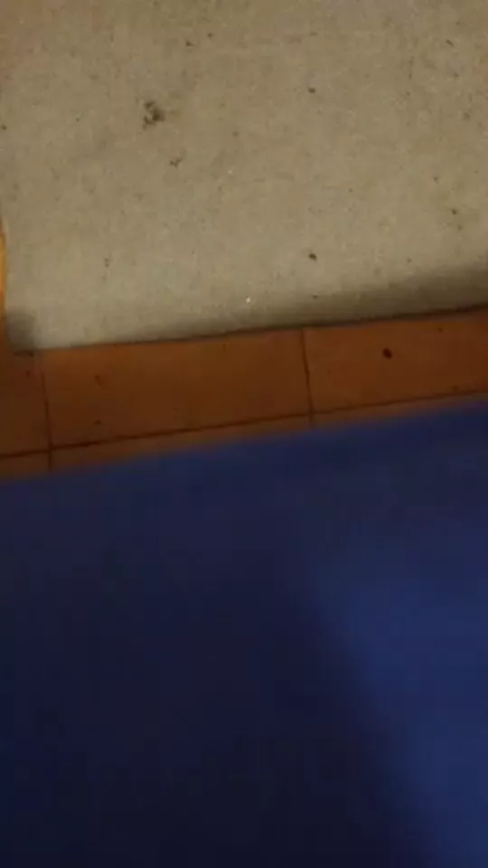 Offline bigcock90rim on Cam4