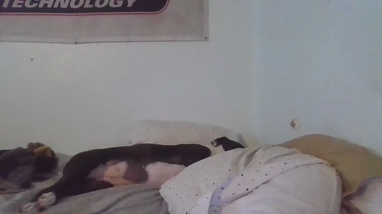 Freechat Bigtoyguy34 on Cam4