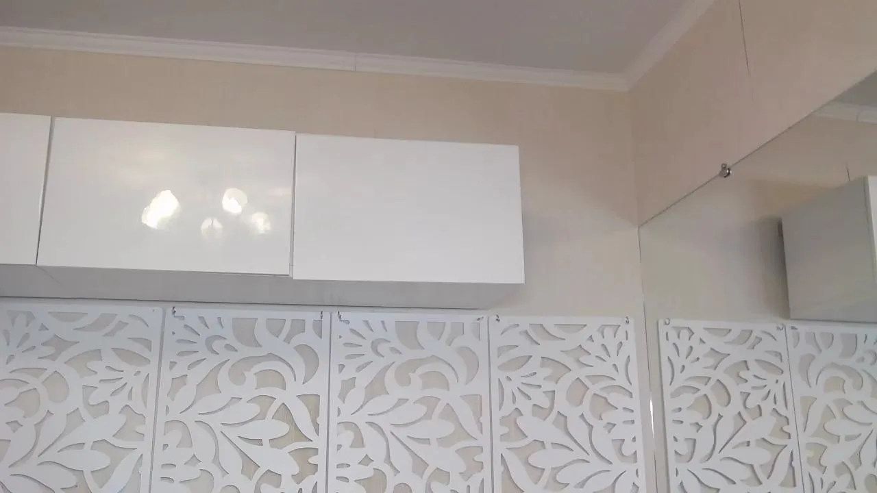 Offline BonnySquirt on Cam4