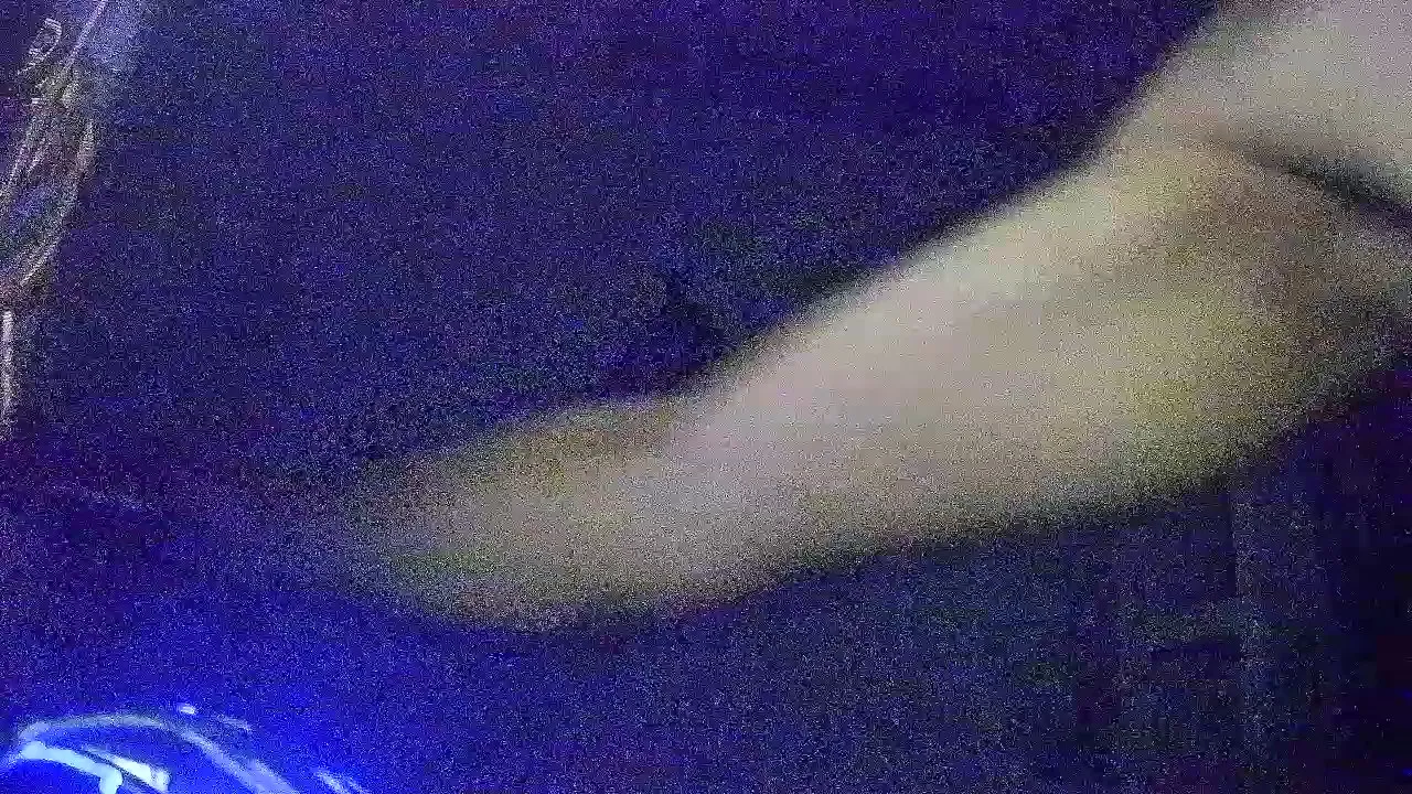 Offline Bryan42LA on Cam4