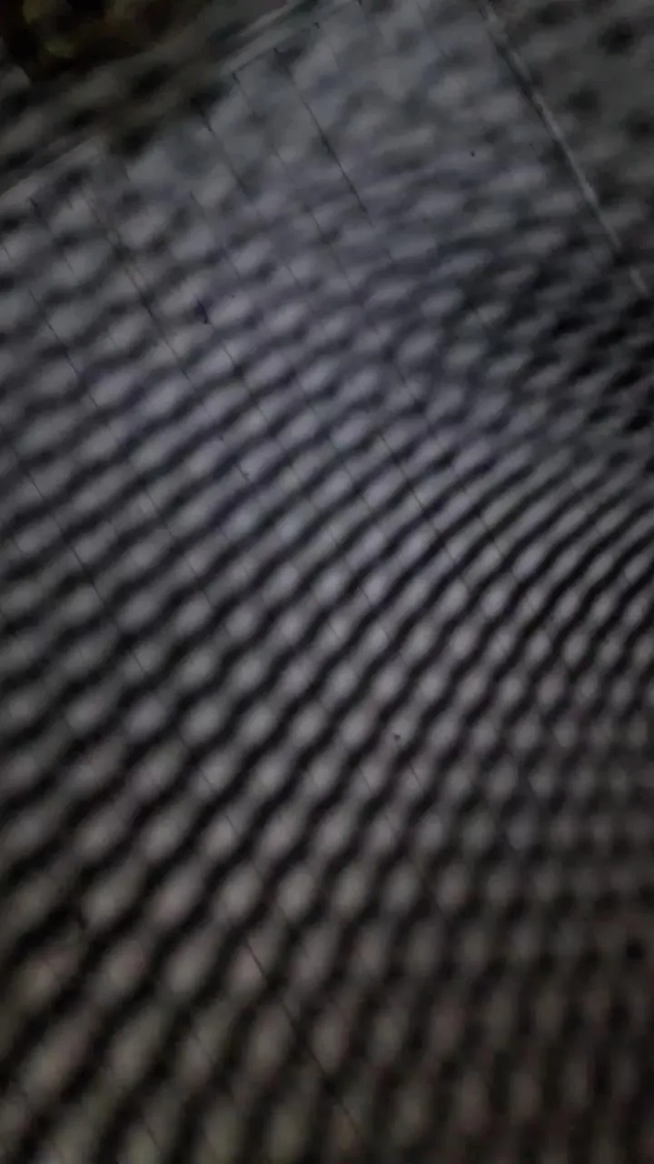 Offline Caritovivi on Cam4