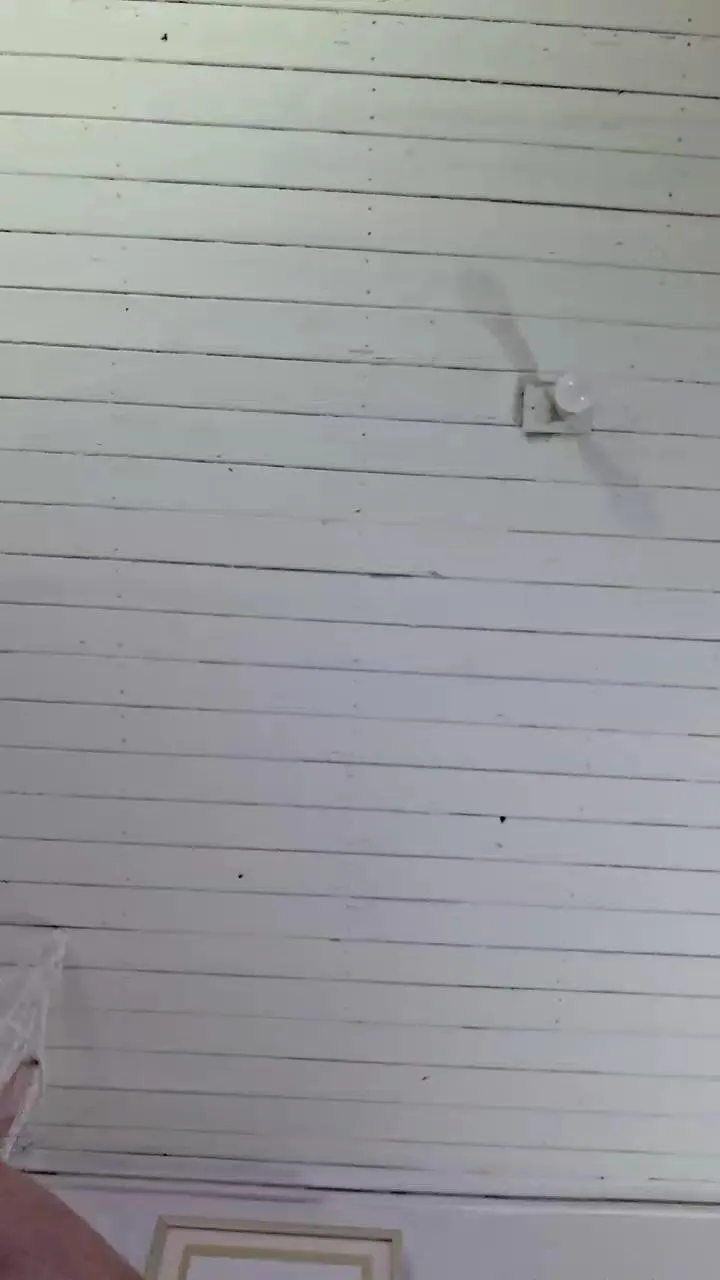 Offline Caritovivi on Cam4